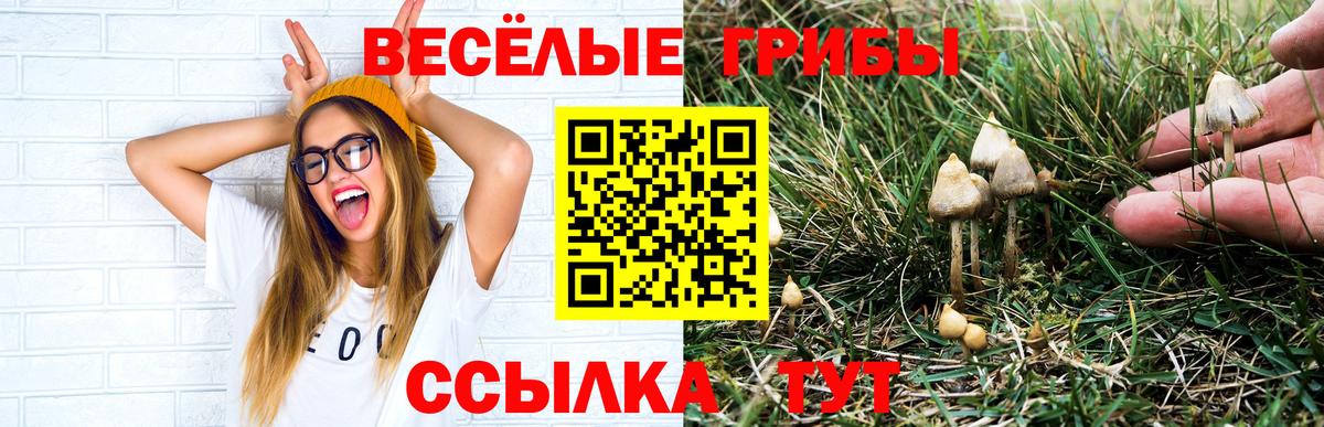 Псилоцибиновые грибы мухоморы  Вход с VPN  Псилоцибиновые грибы Psilocybe  Дубна 