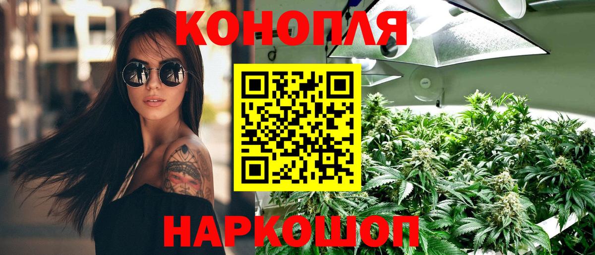 МАРИХУАНА ГИДРОПОН Дубна
